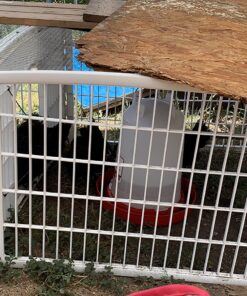 IRIS USA 24-inch Exercise 4-Panel Pet Playpen with Door, White 4 Panel w/ door 48 81VVV7YgLhL