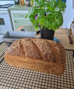 Organic India Psyllium Herbal Powder - Whole Husk Fiber, Healthy Elimination, Keto Friendly, Vegan, Gluten-Free, USDA Certified Organic, Non-GMO, Soluble & Insoluble Fiber Source - 12 Oz Canister (Pack of 1) 36 81VVaTz5oPL