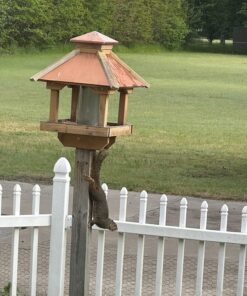 Wagner's 13008 Deluxe Wild Bird Food, 10 lb Bag Original Version 30 81VWdqgGf L