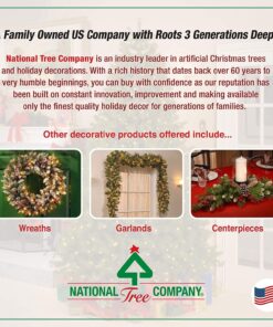 National Tree Company Pre-Lit Artificial Christmas Wreath, Green, Elegance, White Lights, Decorated with Pine Cones, Berry Clusters, Ball Ornaments, Christmas Collection, 24 Inches 24 Inch Wreath with 50 Battery-Operated Warm White LED Lights 16 81VXSv1eVnL