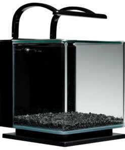 MarineLand Contour Glass Aquarium Kit with Rail Light 3-gallon 32 81VXgX0JbJL