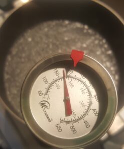 KT THERMO Deep Fry Thermometer With Instant Read,Dial Thermometer,12" Stainless Steel Stem Meat Cooking Thermometer,Best for Turkey,BBQ,Grill 1-pack 12-Inch 27 81VYpdpCrNL