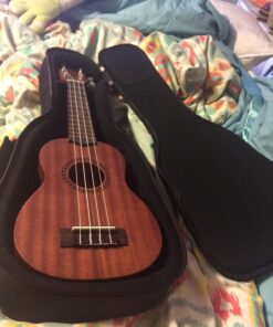 Hola! Heavy Duty SOPRANO (up to 21.5 Inch) Ukulele Gig Bag with 15mm Padding Black 47 81VasUlRZAL