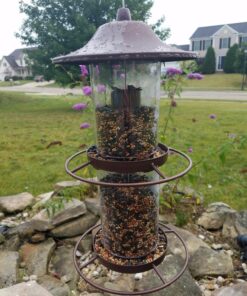 Perky-Pet 325S Panorama Bird Feeder 33 81VcATQzrpL