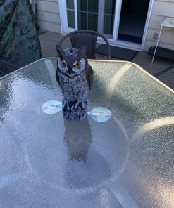 Dalen Fake Owl Decoy to Scare Birds Away from Gardens, Rooftops, and Patios - Scarecrow Provides Chemical-Free Pest Control - Safe and Humane, 16" Great Horned Owl 38 81VfJINCi9L