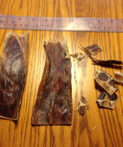 Best Bully Sticks 12 Inch Joint Jerky Gullet Dog Treats (12 Pack) - All-Natural Beef Dog Treats 12 Inch (12 Pack) 17 81VhZxwfSIL