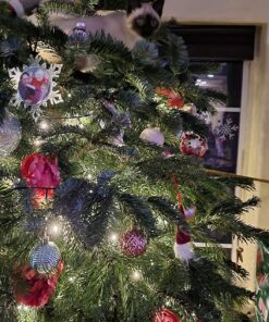 ORNAMENT ANCHOR Ornament Hooks for Hanging Christmas Decorations - No-Slip Hanging Hooks for Xmas - Heavy Duty Christmas Tree Ornaments Hanger Hooks for Small & Large Ornaments (Green, 24 Count) Green 24 81VjTWLjtCL