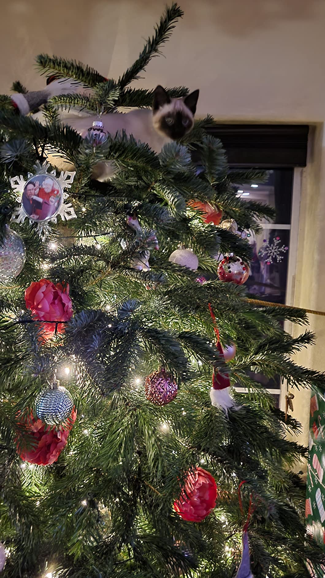 ORNAMENT ANCHOR Ornament Hooks for Hanging Christmas Decorations - No-Slip Hanging Hooks for Xmas - Heavy Duty Christmas Tree Ornaments Hanger Hooks for Small & Large Ornaments (Green, 24 Count) Green 9 ORNAMENT ANCHOR Ornament Hooks for Hanging Christmas Decorations - No-Slip Hanging Hooks for Xmas - Heavy Duty Christmas Tree Ornaments Hanger Hooks for Small & Large Ornaments (Green, 24 Count) Green - Image 9