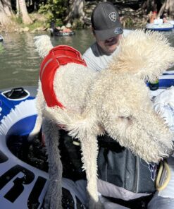 Intex River Run II Inflatable 2-Person Pool Tube Float with Attached Cooler and Repair Kit Multi-colored 31 81VjogvFQoL