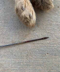 Venom Blowguns 36" 108 Pcs .40 Cal Blowgun Destroyer Kit with Tactical Rail Made in USA Black 27 81VjvBdGGkL