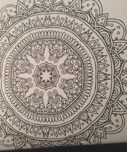 Mandala Coloring Book: 100+ Unique Mandala Designs and Stress Relieving Patterns for Adult Relaxation, Meditation, and Happiness (Magnificent Mandalas) Paperback, Large Print 84 81VlvvCXF L