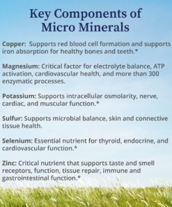 BioPure Micro Minerals Supplement – Highly Bioavailable Major Minerals & Trace Elements to Aid Cellular & Enzymatic Functions for Metabolic & Immune Function Support and Whole-Body Wellness – 16 fl oz 10 81VoEiIVv8L 1