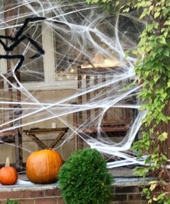 Fun World Costumes Spider Web Decoration Standard 19 81VpQur9a3L