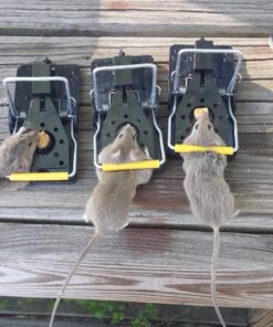 Snap-E 12-001-00-1 6 Pack Mouse Trap, Black 38 81Vq6VX5XhL