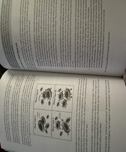 Anatomy & Physiology Made Easy: An Illustrated Study Guide for Students To Easily Learn Anatomy and Physiology 23 81Vu5we1dyL