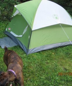 Coleman Sundome Camping Tent, 2/3/4/6 Person Dome Tent with Snag-Free Poles for Easy Setup in Under 10 Mins, Included Rainfly Blocks Wind & Rain, Tent for Camping, Festivals, Backyard, Sleepovers Palm Green 3 Person 36 81VxghNKQYL