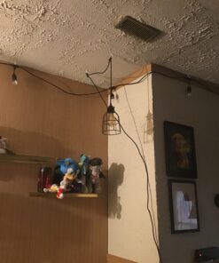 Newhouse Lighting WLG1B Ca Metal Guard for Ceiling Fan, Pendant String Light and Vintage Lamp Shades/Cover, Industrial Wire Fixture Iron Bird Cage, 1 Count (Pack of 1), Black 1 Count (Pack of 1) 34 81W 9jGSmzL