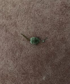 Go Cat Refill - Cat Catcher Mouse Toy Accessory Single 1 Mouse 18 81W2AXC3gCL