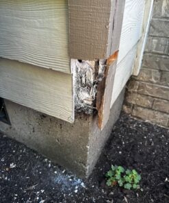 Harris Diatomaceous Earth Powder Duster with 6 Inch Extension Nozzle for Indoor and Outdoor Use 38 81W3rVQ1nzL