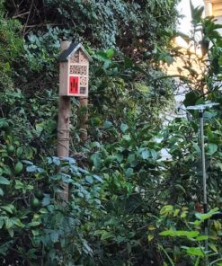 Niteangel Natural Wooden Insect Hotel, Garden Insect House for Ladybugs, lacewings, Butterfly, Bee, Bug 10 x 6 x 3.4 inch Red 29 81W4wUDb8aL