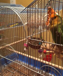 Prevue Hendryx Triple Roof Cockatiel Cage, Blue and White Blue & White 19 81W9h654OL 2