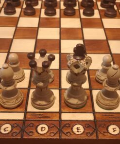 Wegiel Handmade European Ambassador Chess Set - Wooden 21 Inch Beech & Birch Board with Felt Base - Carved Hornbeam & Sycamore Wood Chess Pieces Ambassador - Brown 86 81WEEfrrG8L