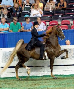 Nikon AF-S FX TC-14E III (1.4x) Teleconverter Lens with Auto Focus for Nikon DSLR Cameras 30 81WEI62THTL