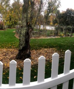 Compare-N-Save 75324 Herbicide, 1-gallon, white 56 81WH9MC6oSL