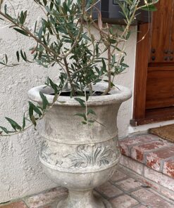 YIHONG 4 Set Fairy Lights Battery Operated Christmas String Lights with Remote Timer for 8 Modes Twinkle Lights 16.4 feet 50 LED Firefly Lights -White 48 81WJDuwveL