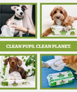 Pogi's Dog Grooming Wipes - 100 Dog Wipes for Cleaning and Deodorizing - Plant-Based, Hypoallergenic Pet Wipes for Dogs, Puppy Wipes - Quick Bath Dog Wipes for Paws, Butt, & Body - Fragrance Free 100-Count Wipes Fragrance-Free 29 81WJG7F9ViL