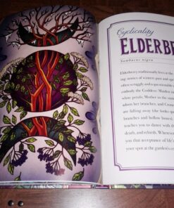 The Illustrated Herbiary: Guidance and Rituals from 36 Bewitching Botanicals (Wild Wisdom) 51 81WJQ9d1fKL