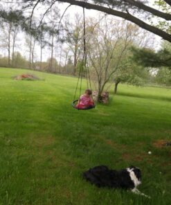 Sorbus Saucer Tree Swing- Kids Outdoor Disc Round Swing - 24" Heavy Duty 220lbs Seat- Easy Install Flying Saucer Web Circle Swing- Perfect for Gift,Playground, Birthday, Xmas, IndoorOutdoor Tire Swing Net Seat 24 inch 32 81WJas48kL