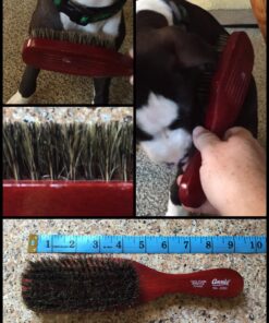 SOFT 100% PURE BOAR BRISTLE WAVE HAIR BRUSH DURAG MAN by Annie Black 1 Count (Pack of 1) 12 81WKUPBeVrL