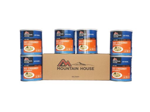 Mountain House Beef Stroganoff with Noodles | Freeze Dried Backpacking & Camping Food Classic! 6-cans