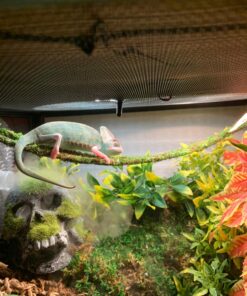 Galápagos (05320) Mossy Terrarium Sticks 18" (Pack of 6) 18" Green 18 81WRz1rECIL