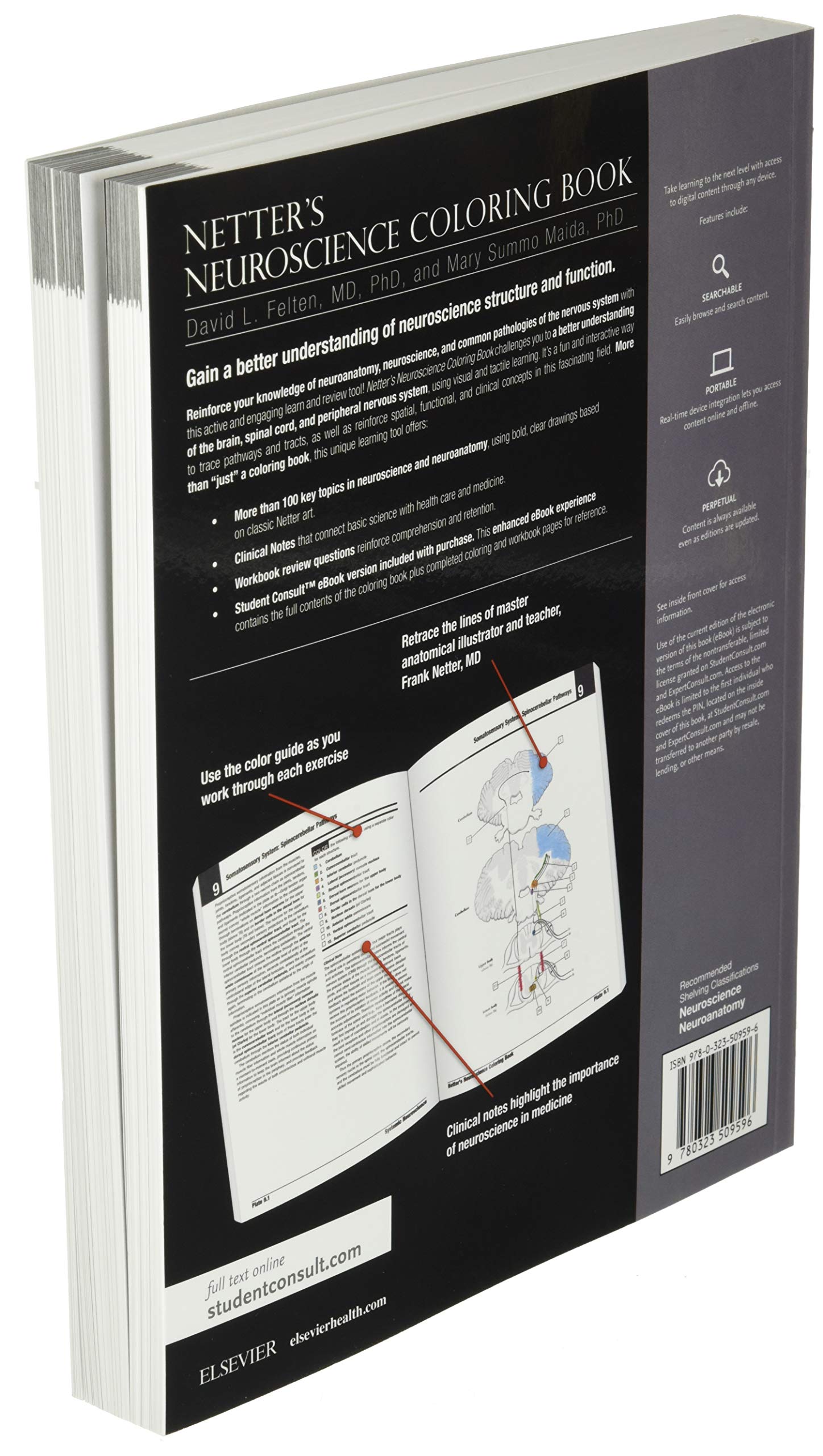 Netter's Neuroscience Coloring Book Swiftsly