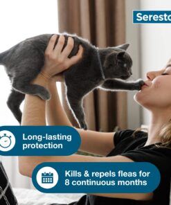 Seresto Cat Vet-Recommended Flea & Tick Treatment & Prevention Collar for Cats | 8 Months Protection 1 Pack Cat Only 27 81WTt8uCyYL