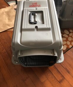 Petmate Sky Kennel Pet Carrier, 28 Inch, Made in USA 24.3"L x 18.3"W x 19.5"H 61 81WWlTXN2vL