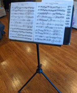 Peak Music Stands SMS-20 Collapsible Music Stand with Carrying Bag 28 81We6u1ea6L