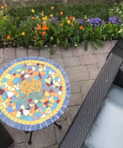 Wildflower Seeds Edible Flowers Mix - 1 Ounce Over 7,000 Open Pollinated Annual and Perennial Seeds 1 Ounce Packet 47 81WhIfivxlL