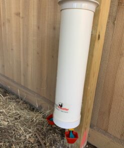 Royal Rooster 1 Gallon Automatic Twin Chicken Waterer with 2 Gravity-Feed Valve-Operated Drinking Cups - Indoor and Outdoor Coop Hanging Chicken, Duck and Poultry Water Dispensing System 24 81WhWSvksiL