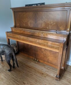 Murphy Oil Soap, Original Formula 16 fl oz (473 ml) 16 Fl Oz (Pack of 1) 29 81WivmXA0eL