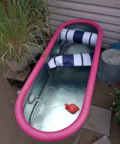 Intex Replacement Hose Adapter A w/Collar for Threaded Connection Pumps (Pair) 35 81WkfQ8SJPL