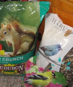 Audubon Park 12243 Critter Crunch Wild Bird and Critter Food, 15-Pounds 27 81WnD82MZdL