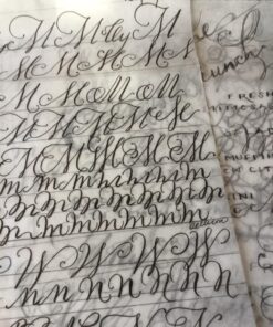 Modern Calligraphy: Everything You Need to Know to Get Started in Script Calligraphy 15 81WnKql6pYL