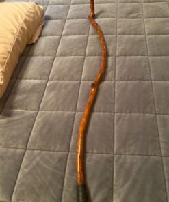 Carex Cane Tip 3/4, Black 1 Count (Pack of 1) 5 81Wrjhjf0bL