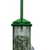 Squirrel Buster Mini Squirrel-proof Bird Feeder w/4 Metal Perches, 1.3lbs Seed Capacity, garden green 11 81Wt6zR9XRL