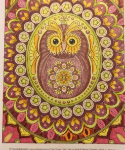 Groovy Owls Coloring Book (Coloring is Fun) (Design Originals) 32 Adorable Art Activities with Quiet, Stoic, Wise, and Happy Owls, plus Beginner-Friendly Advice, Techniques, Color Choices, & Examples Paperback, Coloring Book 52 81X twPFTSL