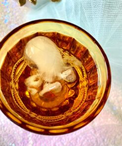 Genuine Fred COOLAMARI Octopus Ice Tray,MARI 18 81X xvCTdzL