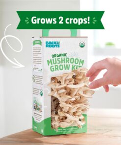 Back to the Roots Organic Oyster Mushroom Grow Kit, Harvest Gourmet Mushrooms In 10 Days 1 Count (Pack of 1) 47 81X4W4mnaxL